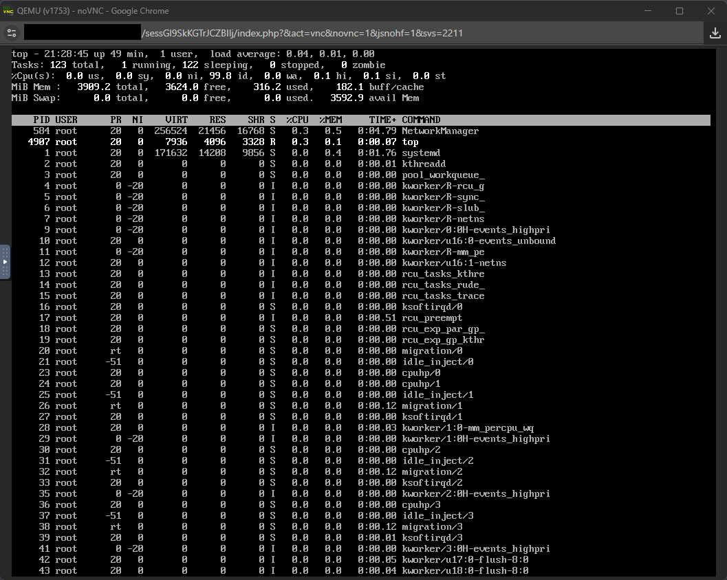 VNC-Konsole mit noVNC